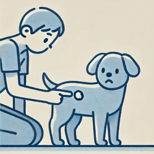 Is a Hard Lump on Your Dog a Tumor? How to Identify Abnormal Tissue