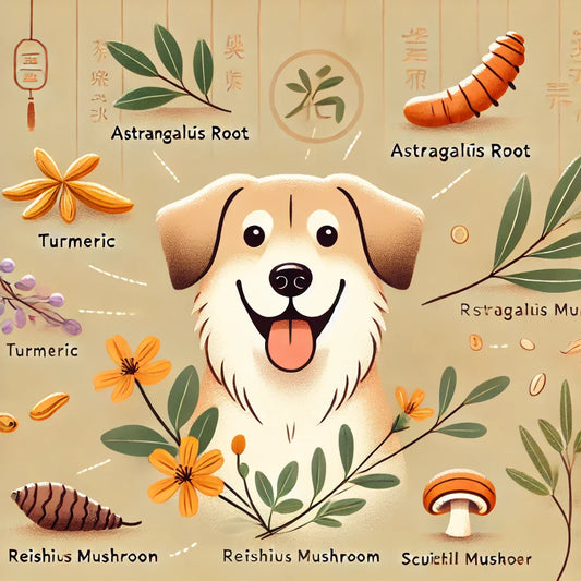 How Natural Plant Extracts Help Dogs Fight Tumors: The Role of TCMVET BAITUXIAO