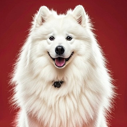 Targeting Liver Tumors in Dogs: Proven Strategies and Natural Remedies to Help Shrink Tumors