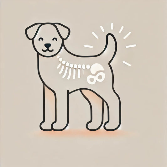 Understanding Dog Spinal Tumors: Symptoms, Diagnosis, and Treatment