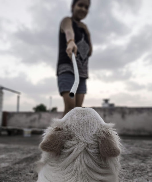 woman in black and white tank top and blue denim shorts standing beside white dog during