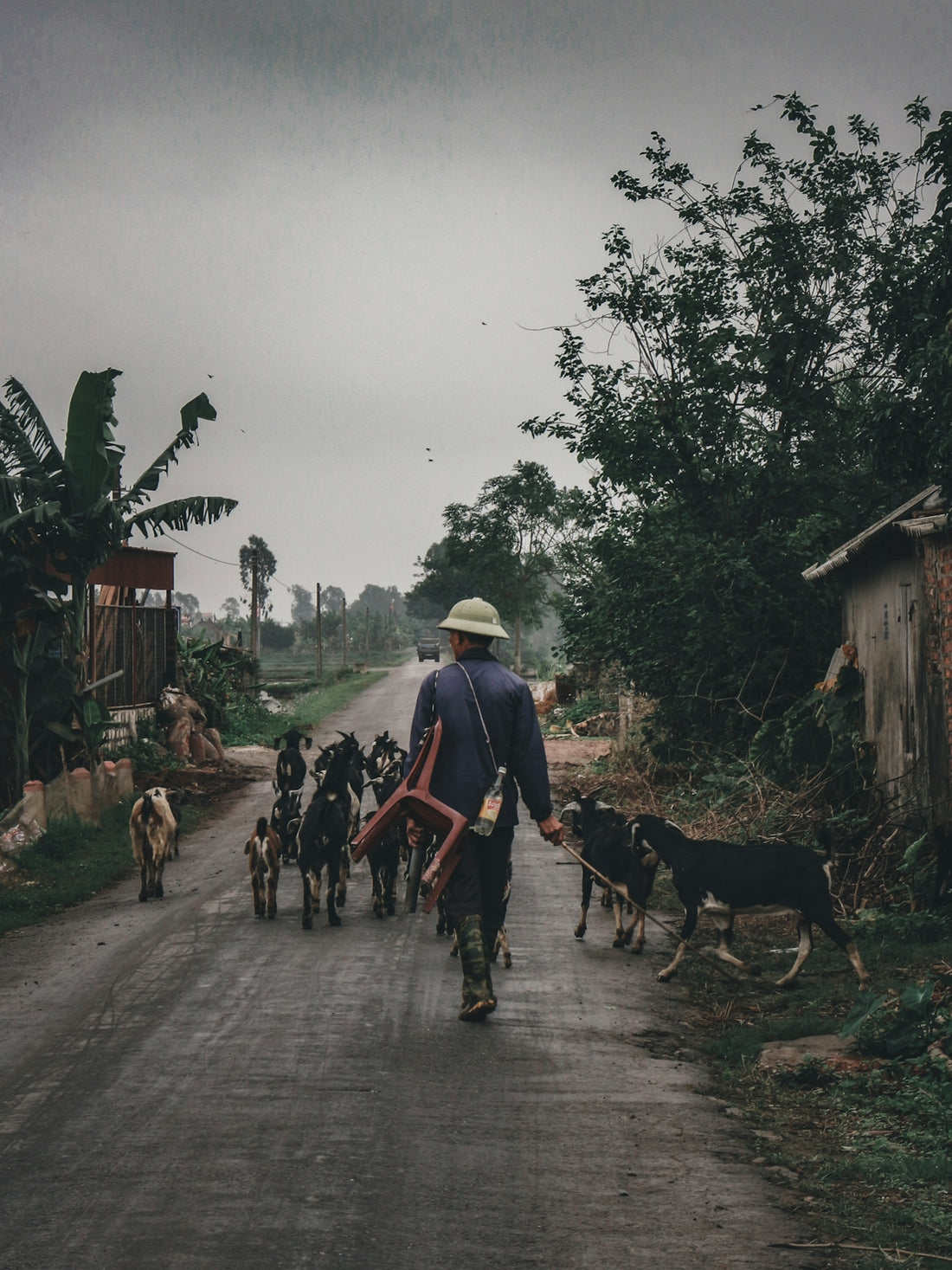 people riding horses on road during daytime