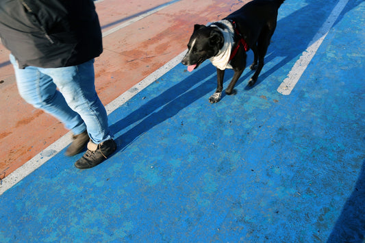 Person in blauer Denimjeans und braune Lederstiefel, die neben einem schwarzen und weißen Kurzmantel steht.