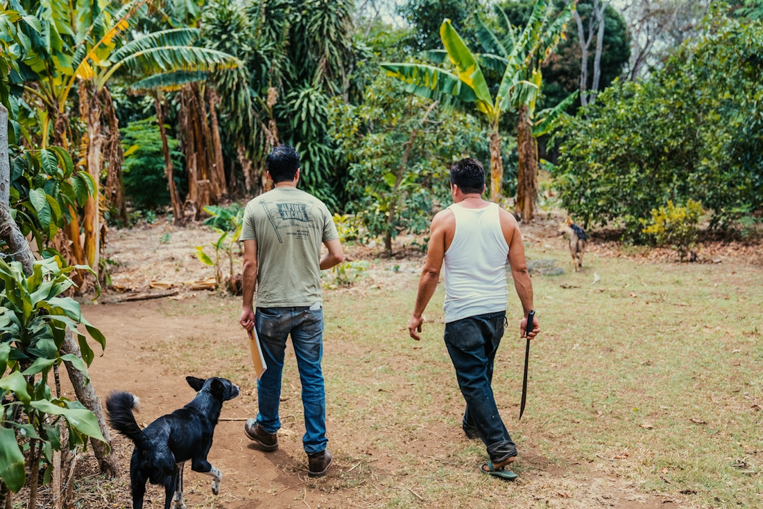 a couple of men walking across a lush green field