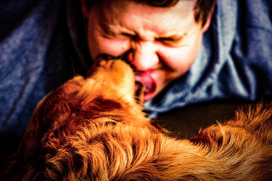 a man laying on a bed kissing a dog