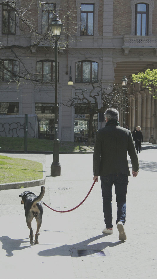 a man walking a dog down a street