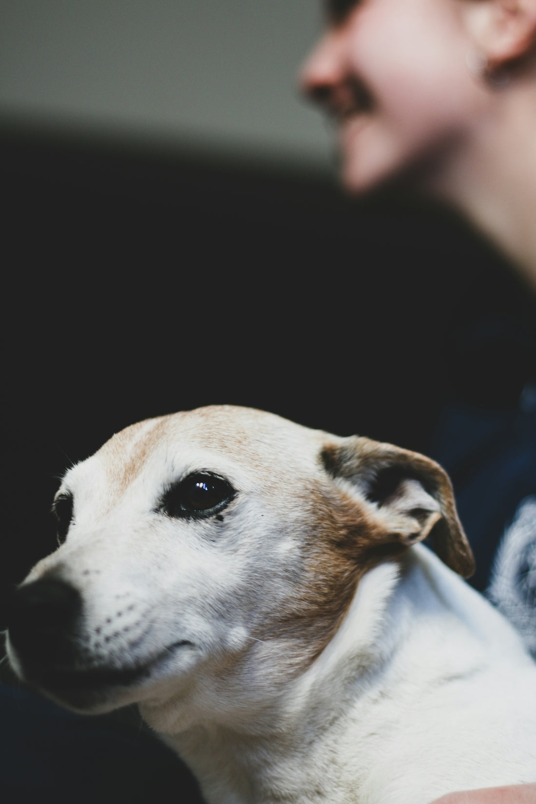 A woman holding a dog in her arms