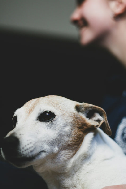 A woman holding a dog in her arms