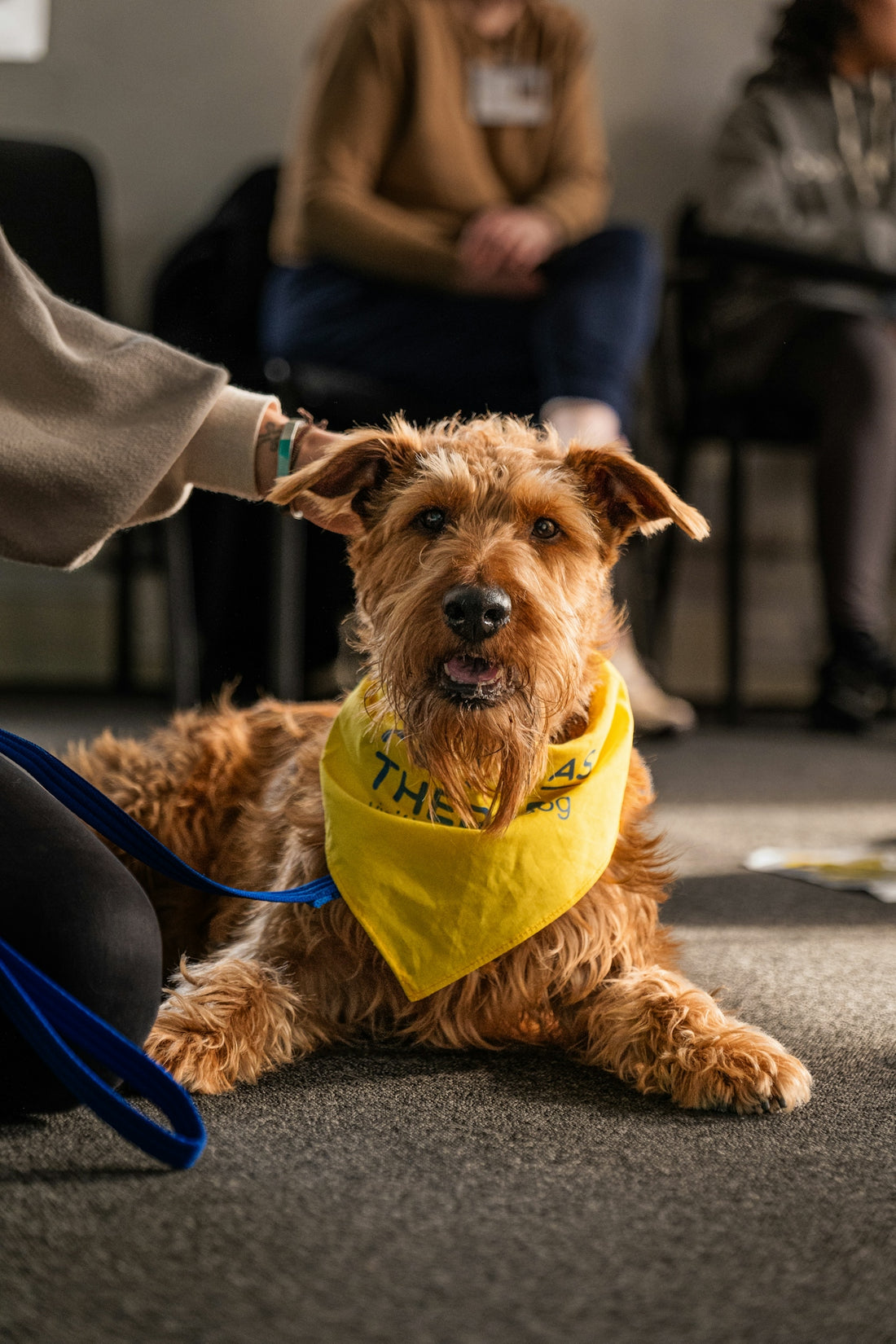 A dog with a yellow bandana sitting on the floor