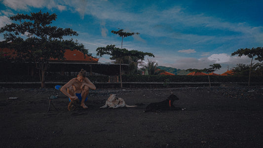 Man with two dogs on a beach at dusk.