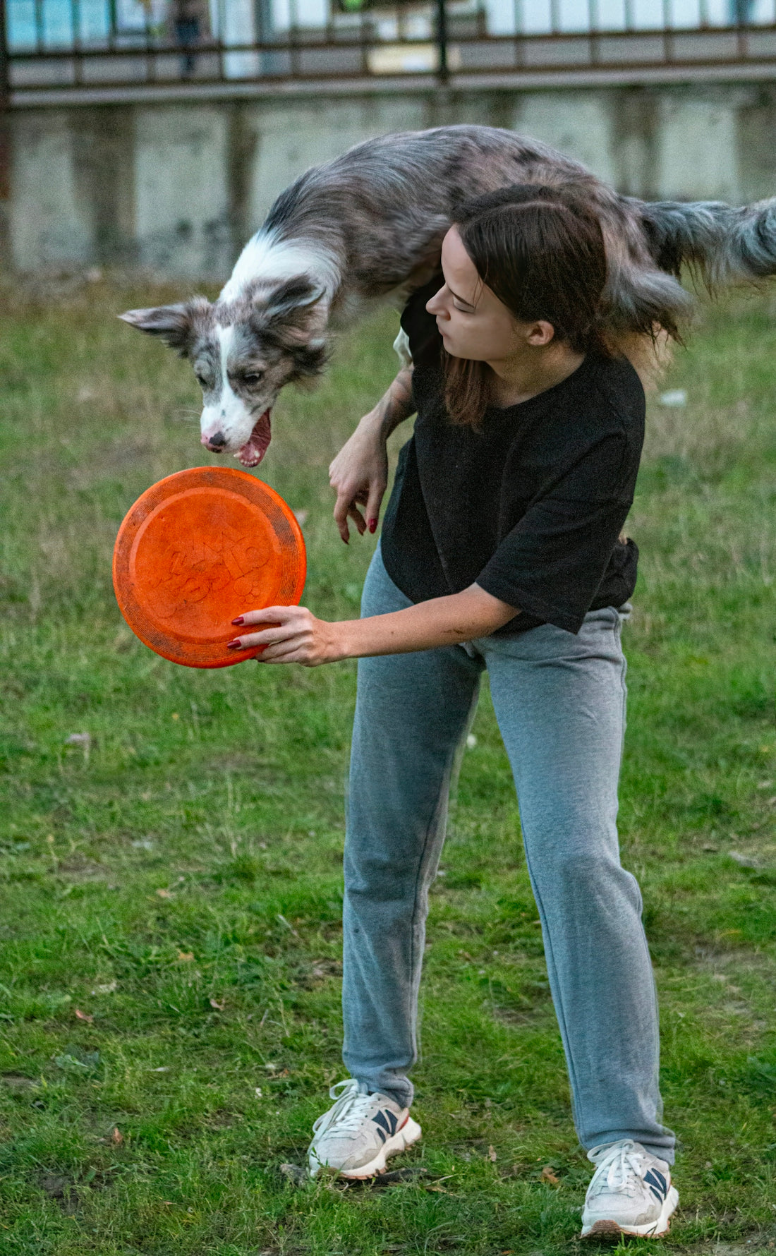 Woman throwing orange frisbee for dog