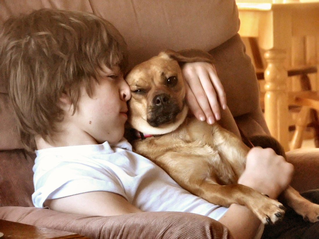 A boy hugs a small dog in a chair.