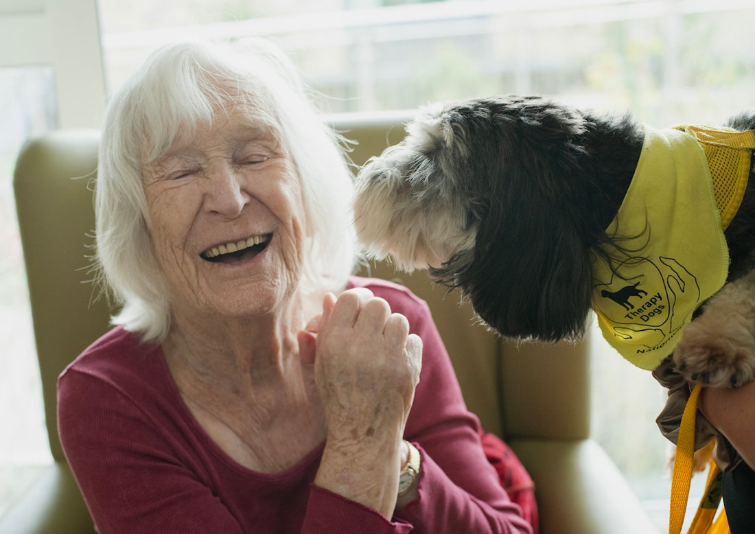 Elderly woman laughing with a dog