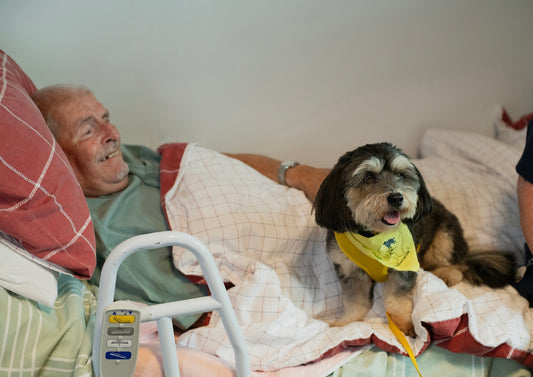 Elderly man and dog in bed