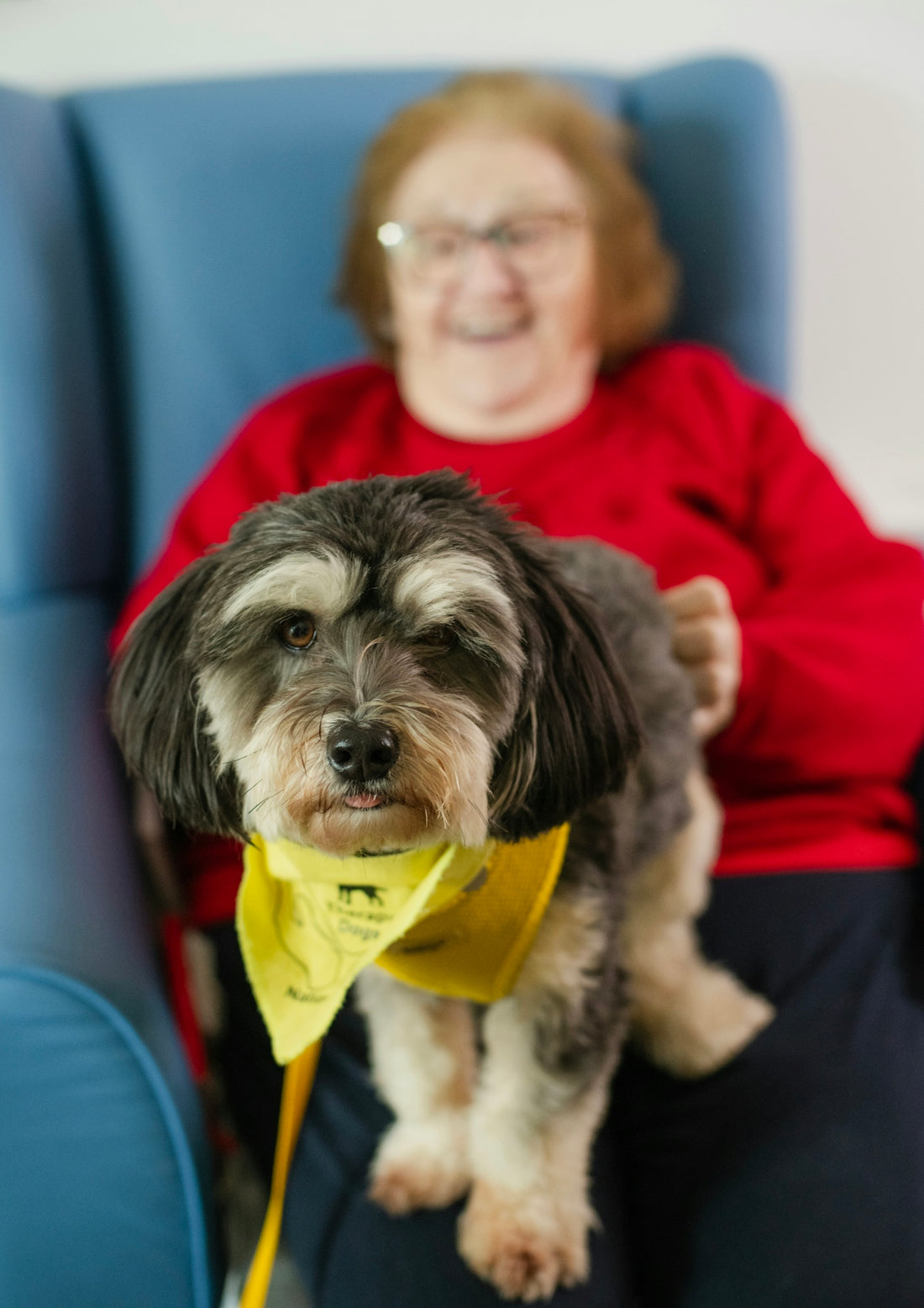 Elderly woman with a small dog on her lap.