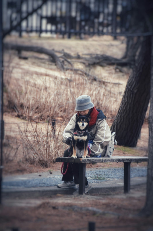 Person and dog sitting on a park bench together