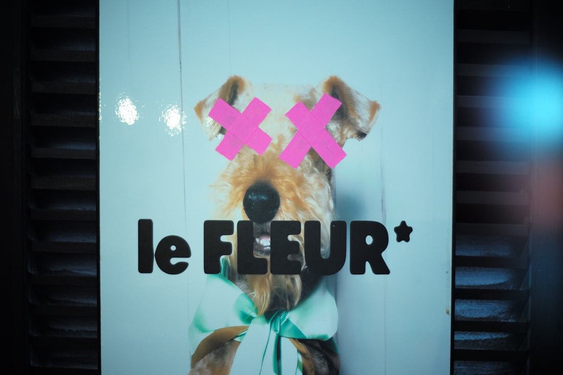 Dog with pink x's over eyes and le fleur text.