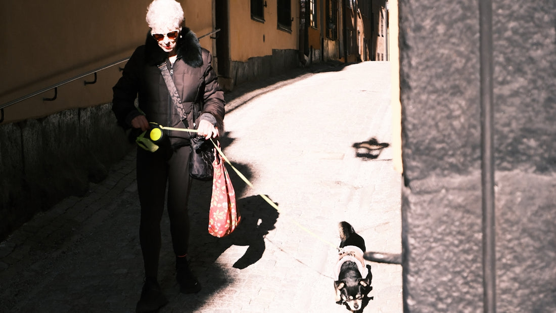 Woman walking small dog down a narrow alley.