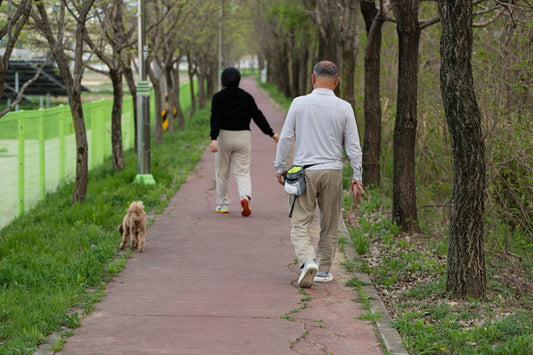A couple walks their dog on a paved path.