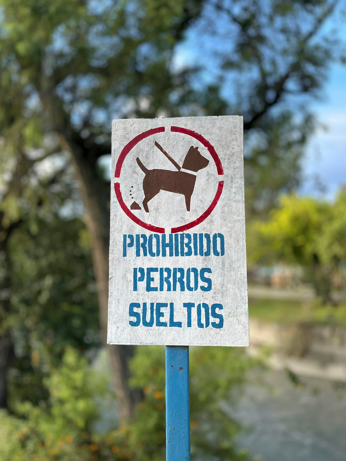 Sign prohibiting unleashed dogs in park