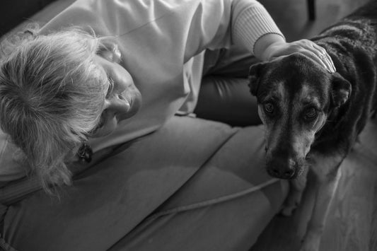 Woman petting an old dog on a couch