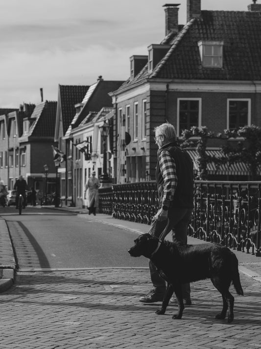 Older man walks dog on a bridge in a town.