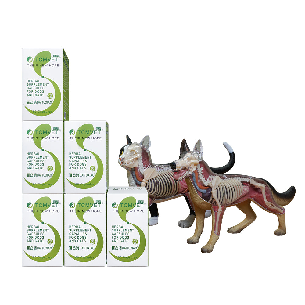TCMVET BaiTuXiao Comprehensive Botanical Formula-Five Bottles